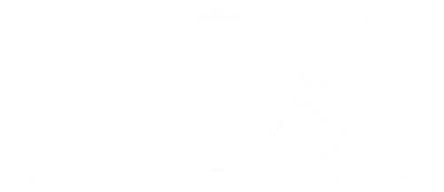logo msweb blanc